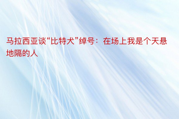 马拉西亚谈“比特犬”绰号：在场上我是个天悬地隔的人