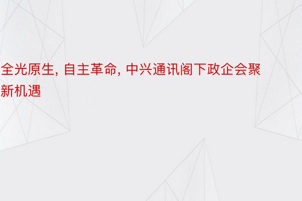 全光原生, 自主革命, 中兴通讯阁下政企会聚新机遇