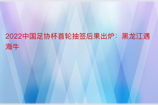 2022中国足协杯首轮抽签后果出炉：黑龙江遇海牛