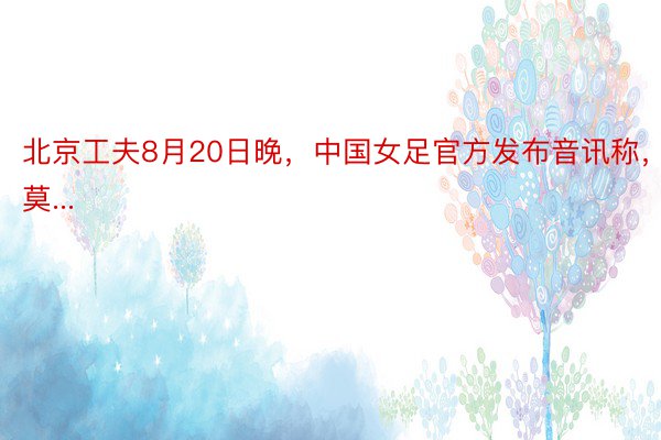 北京工夫8月20日晚，中国女足官方发布音讯称，莫...