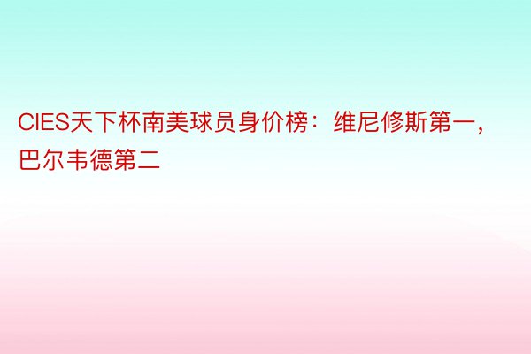 CIES天下杯南美球员身价榜：维尼修斯第一，巴尔韦德第二