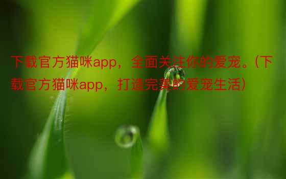 下载官方猫咪app，全面关注你的爱宠。(下载官方猫咪app，打造完美的爱宠生活)