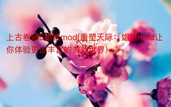 上古卷轴5娼馆mod(重塑天际：娼馆mod让你体验更加丰富的游戏世界)